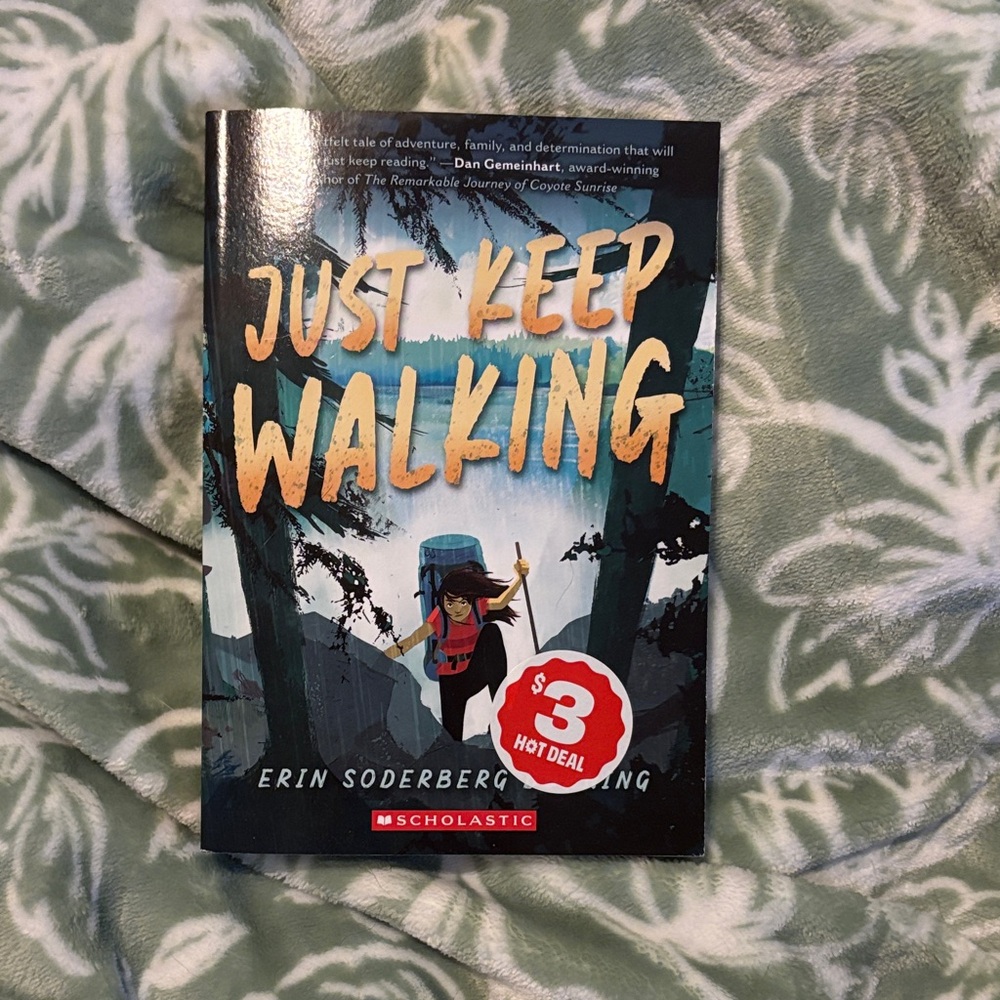 Scholastic Hardcover — Teal, Gold & Red Illustrated Cover